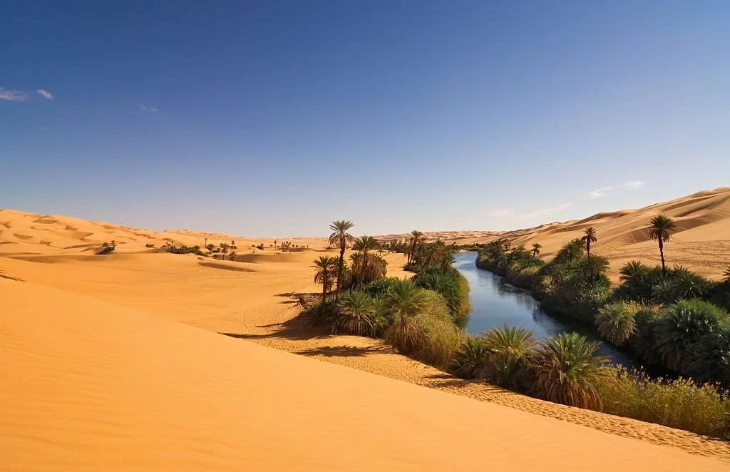 Desert With Oasis