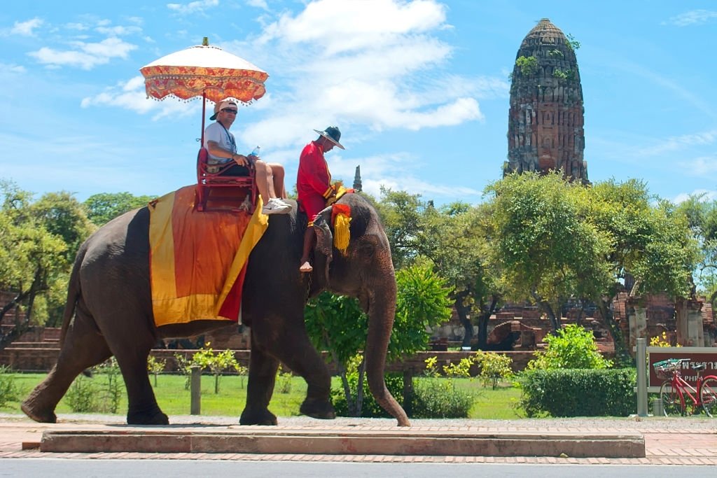 Elephant Transporting People
