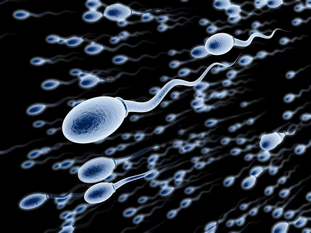 Sperm - Dream Meaning and Symbolism 4