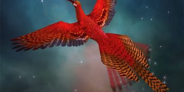 Phoenix - Dream Meaning And Symbolism 65
