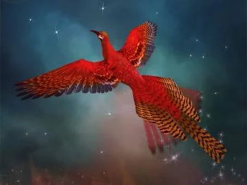 Phoenix - Dream Meaning And Symbolism 27