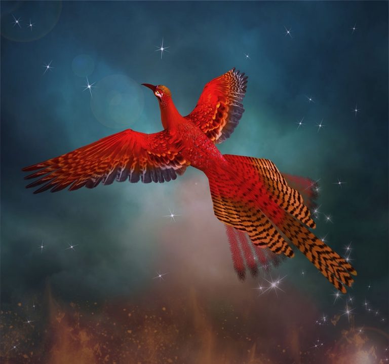 Phoenix - Dream Meaning And Symbolism 1