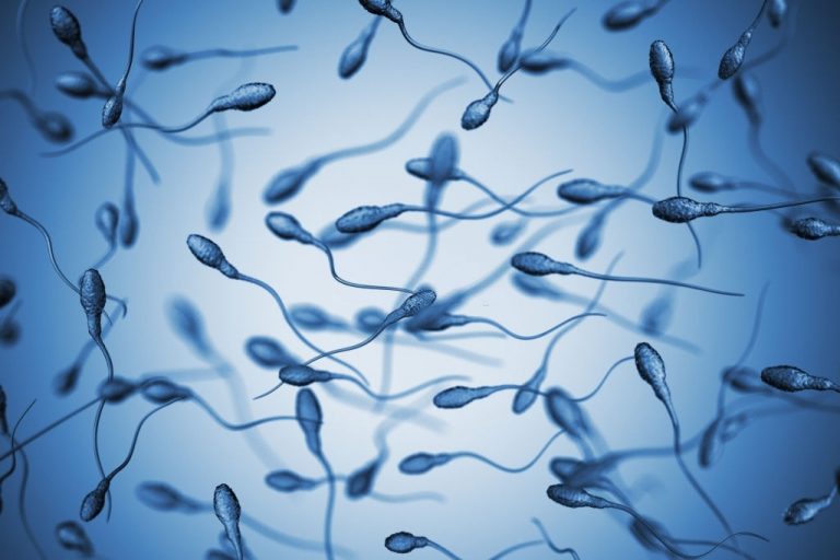 Sperm - Dream Meaning and Symbolism 1